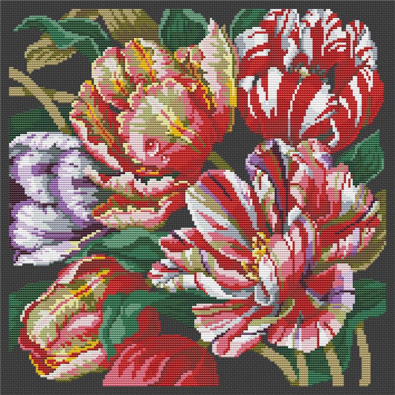 (image for) Parrot Tulips